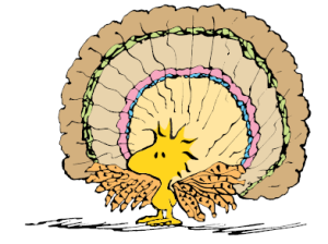 Woodstock turkey